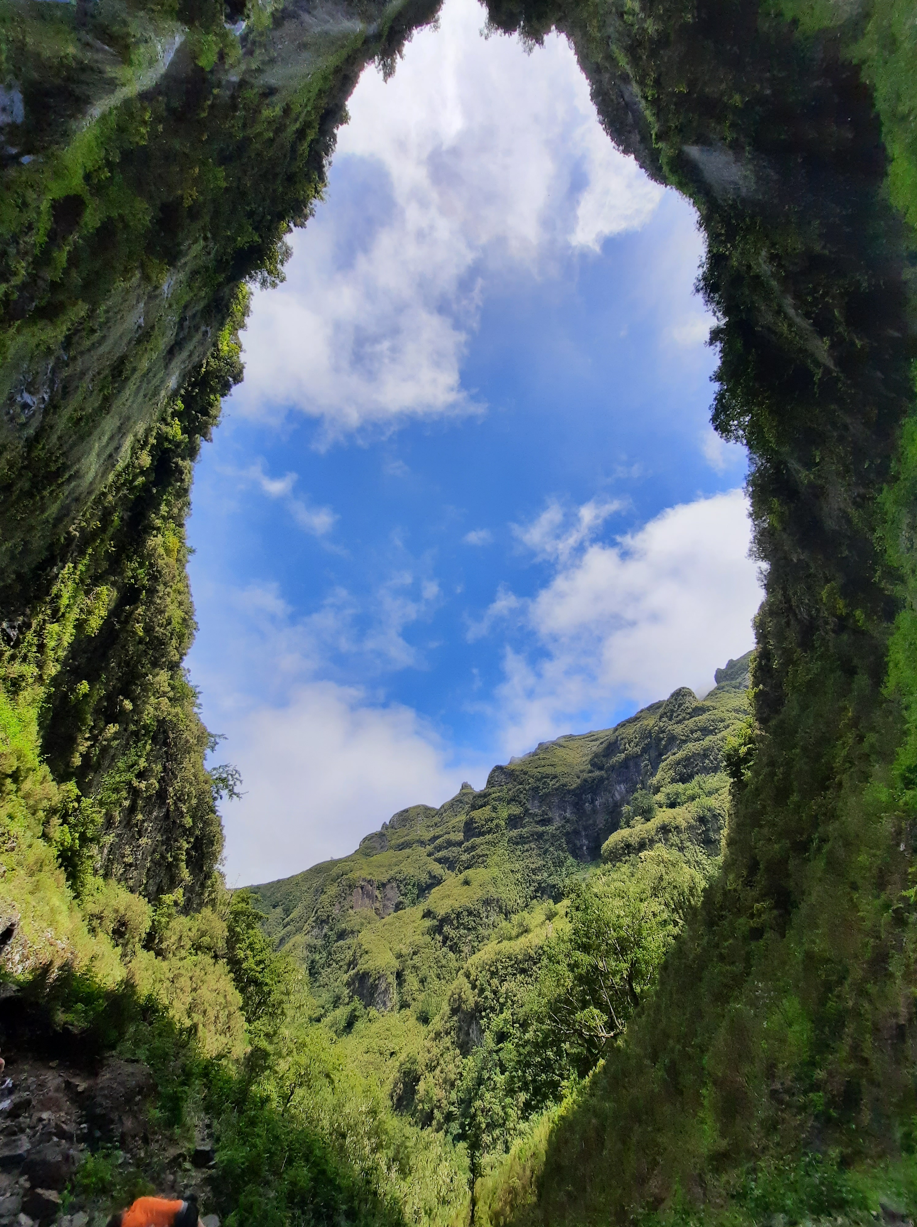 Purposeful Disorientation